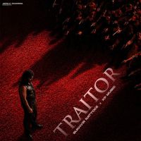 Traitor cover