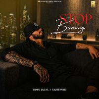 Stop Burning cover