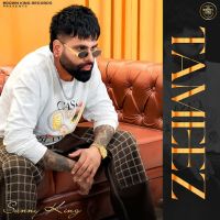 Tameez cover