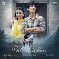 Dil Bezuban cover
