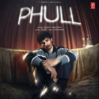 Phull cover