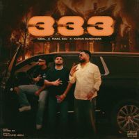 333 cover