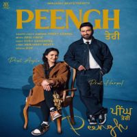 Peengh Teri cover