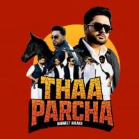 Thaa Parcha cover