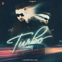 Turbo cover