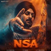 Nsa cover