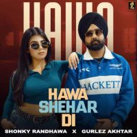 Hawa Shehar Di cover