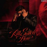 Kill Switch Flow cover