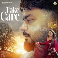 Take Care cover