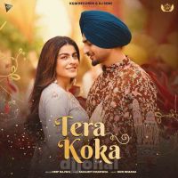 Tera Koka cover
