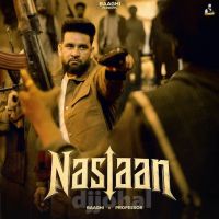 Naslaan cover