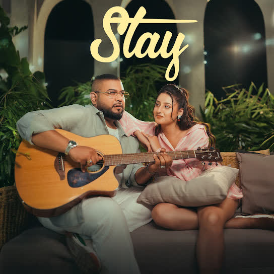 Stay cover