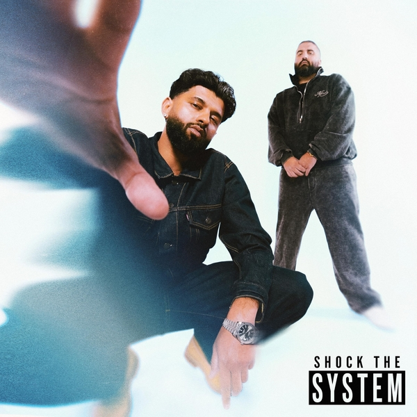 Shock The System cover
