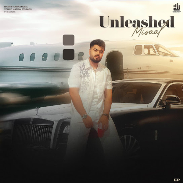 Unleashed cover