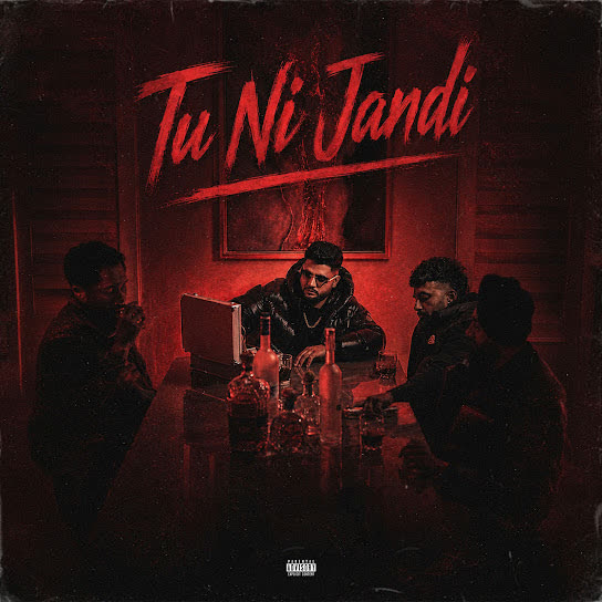 Tu Ni Jandi cover
