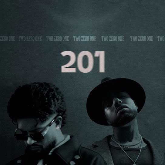 201 cover