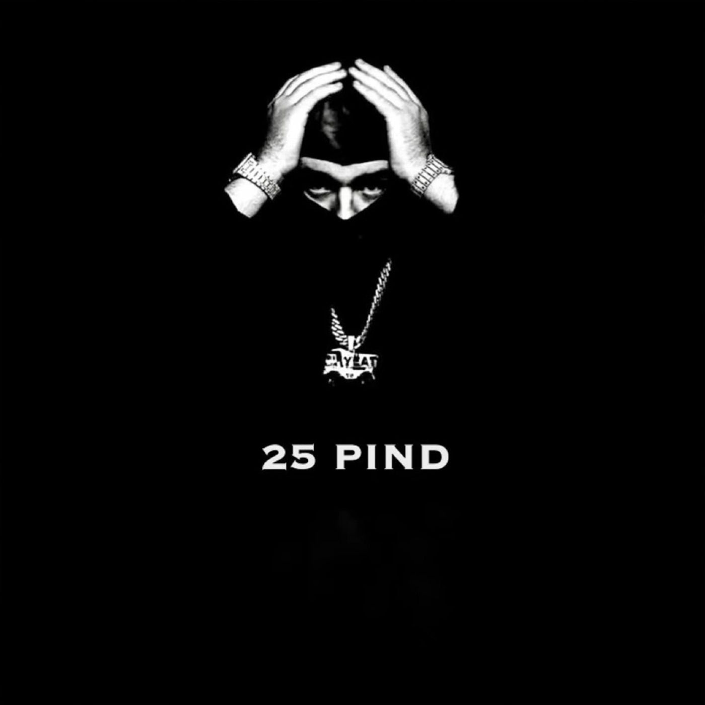 25 PIND cover