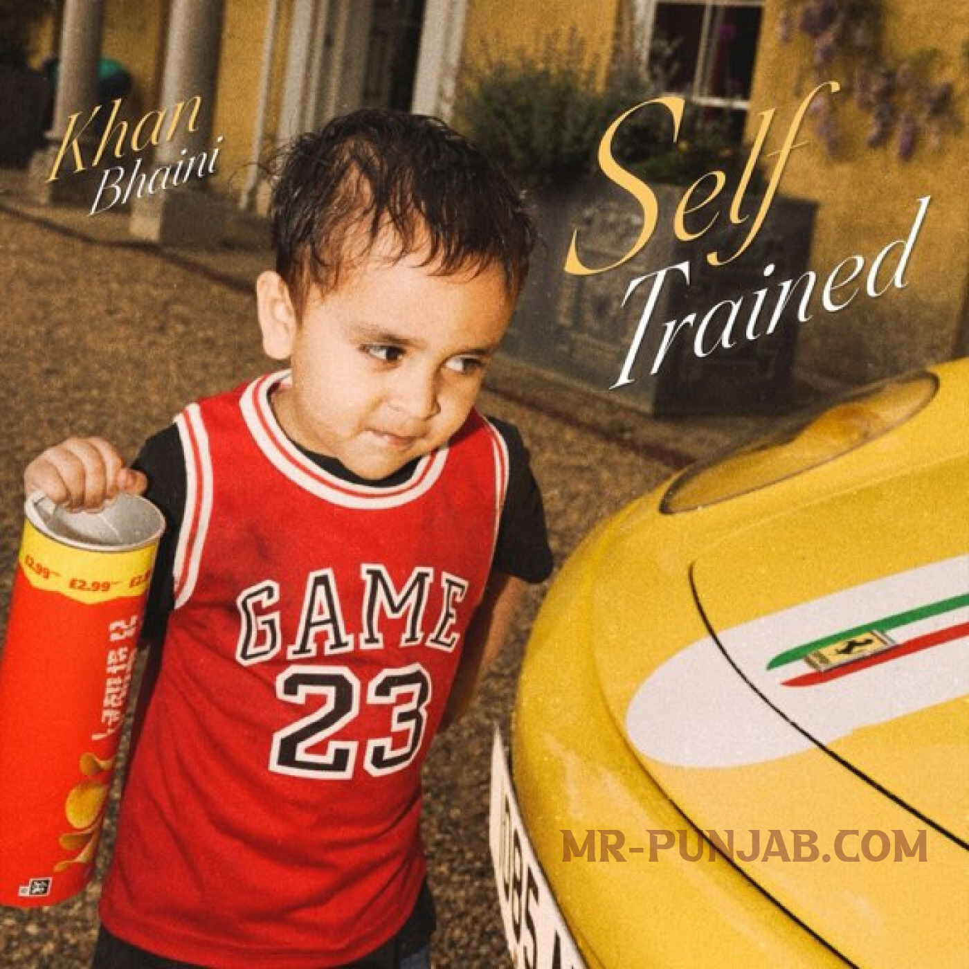 Self Trained cover