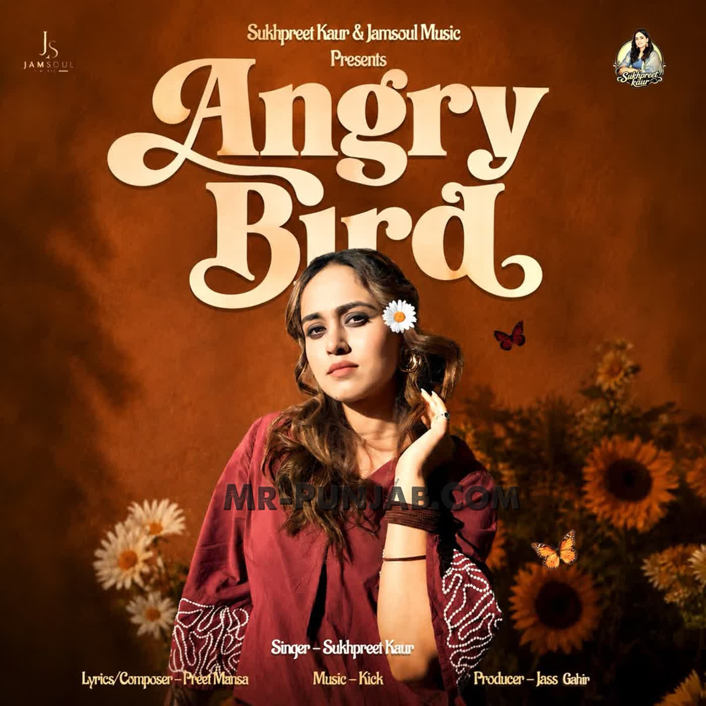 Angry Bird cover