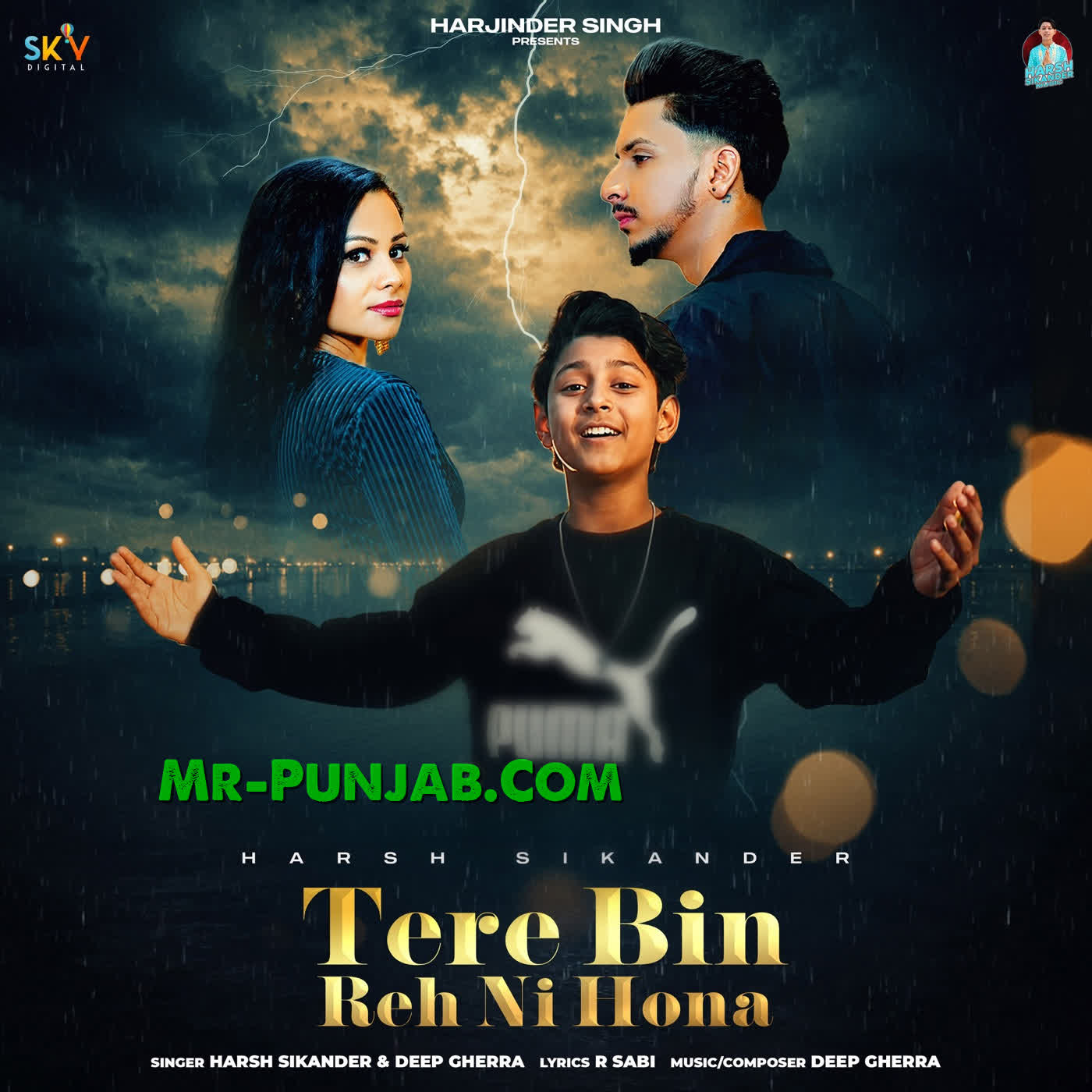 Tere Bin Reh Ni Hona cover