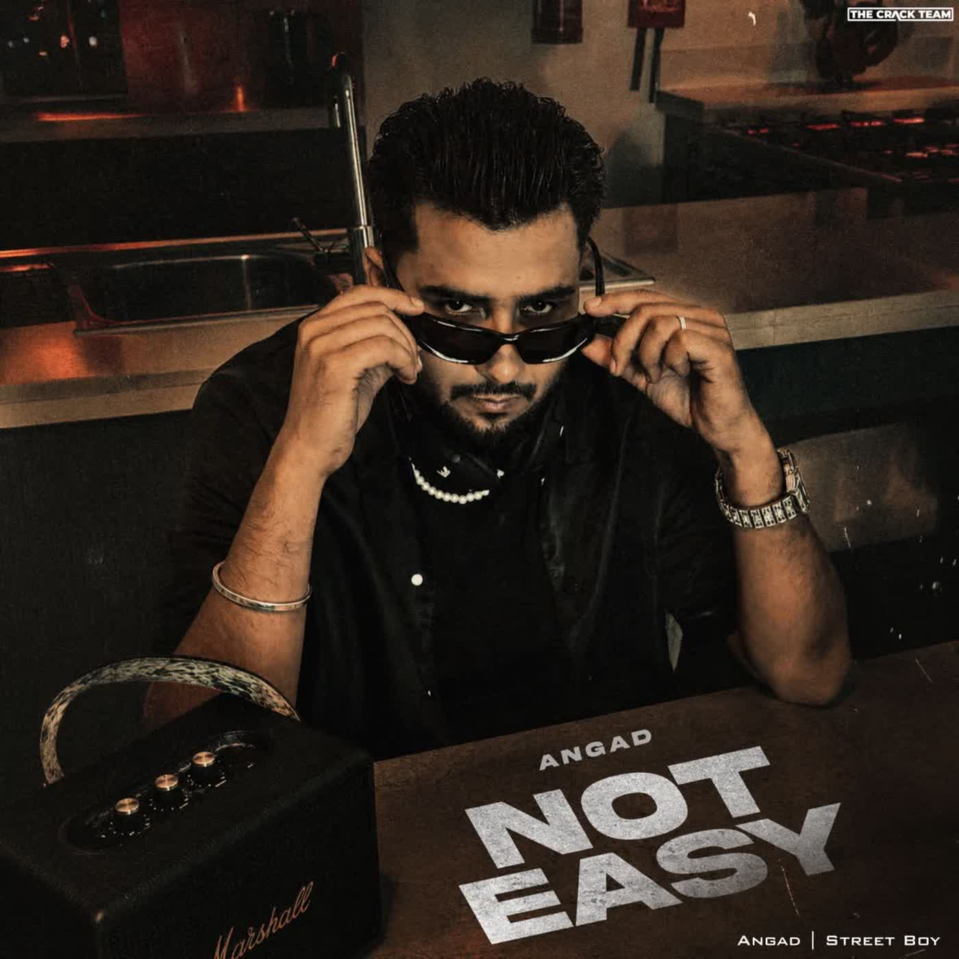 Not Easy cover