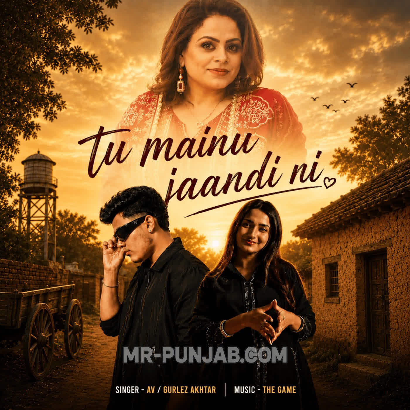 Tu Mainu Jaandi Ni cover