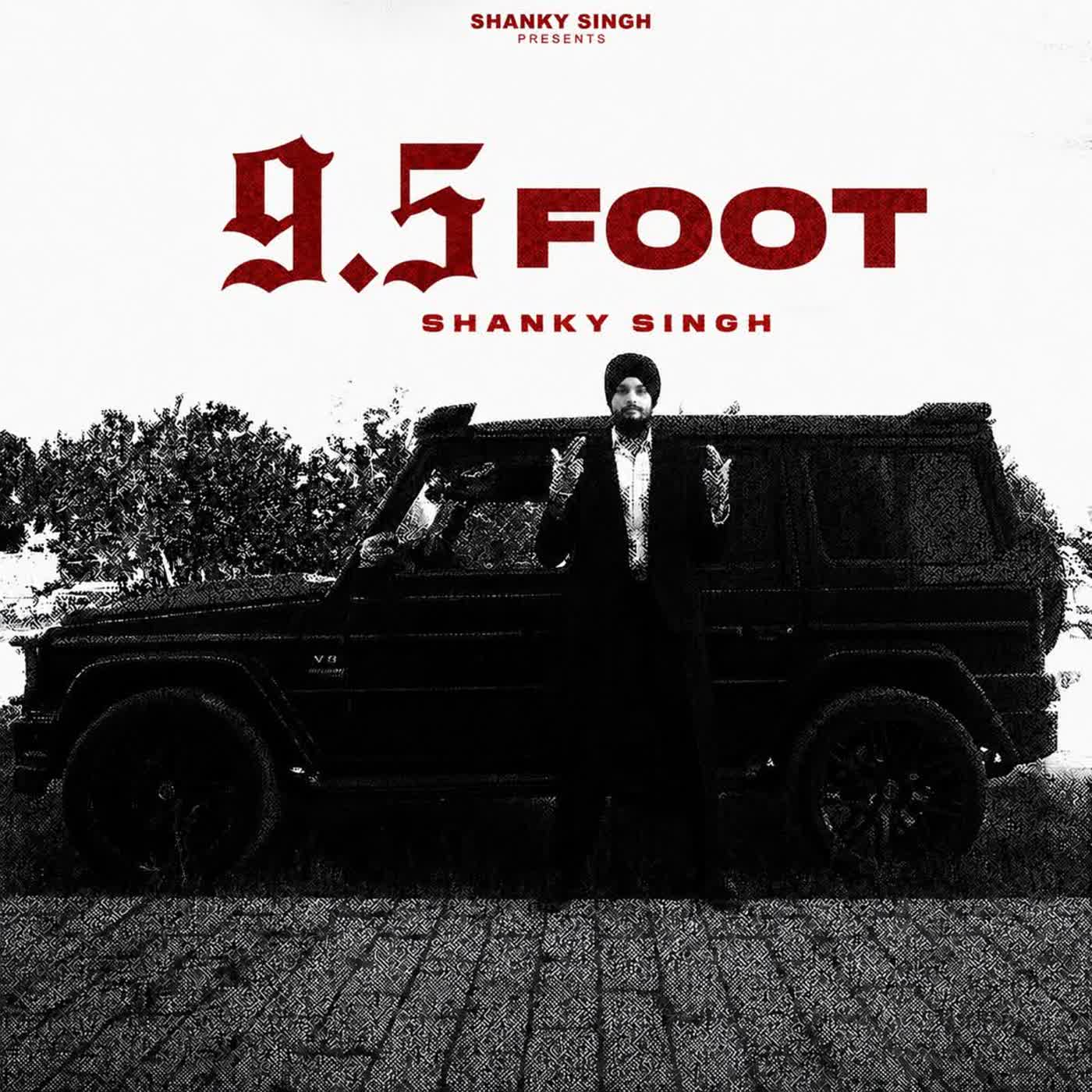 9.5 Foot cover