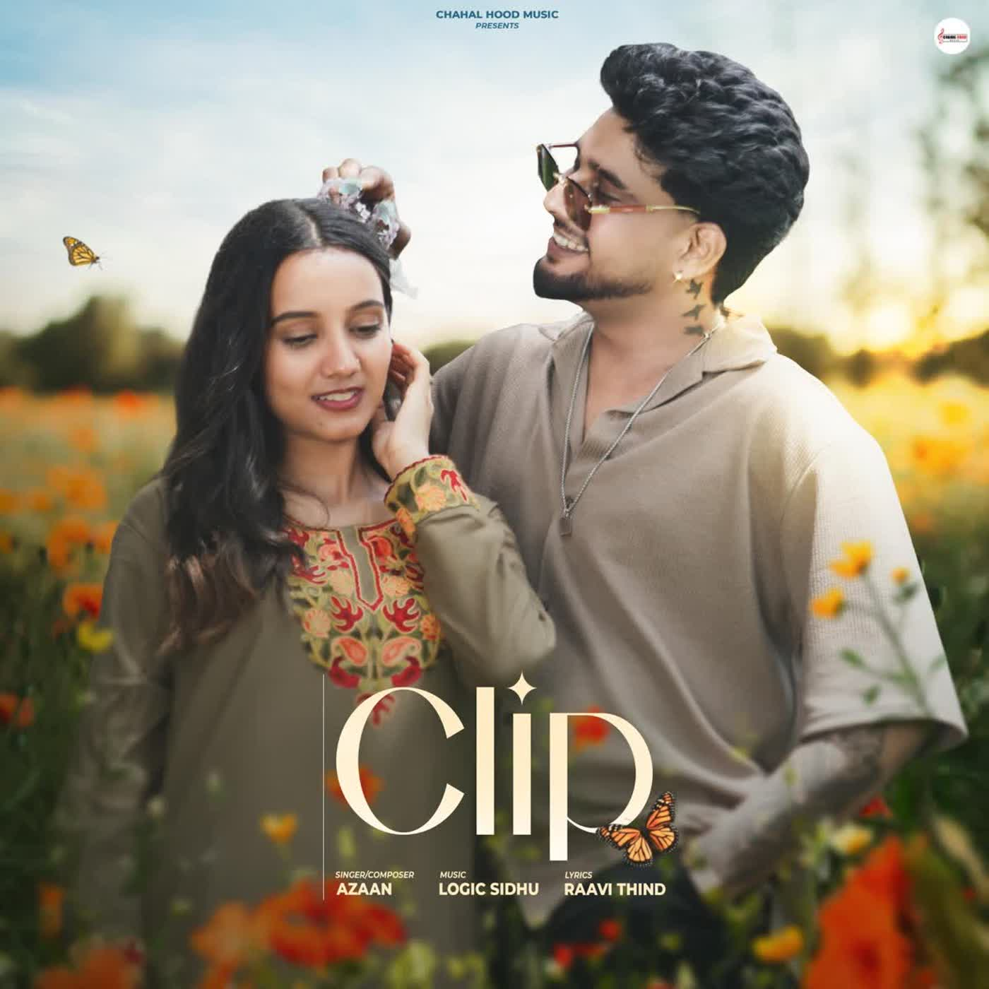 Clip cover