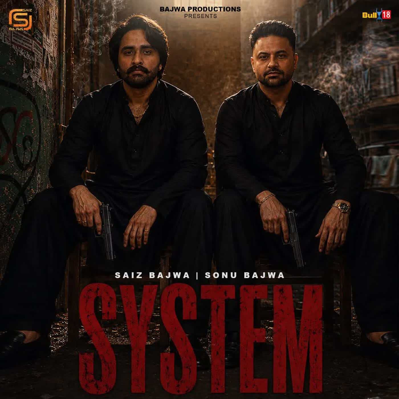 System cover