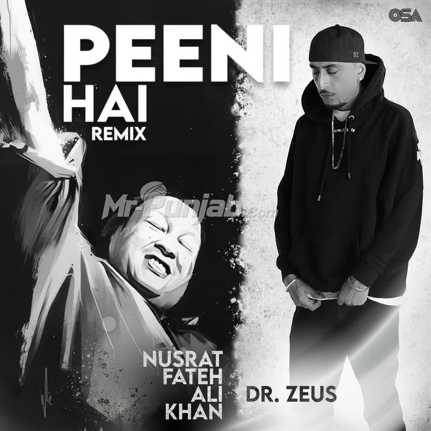 Peeni Hai Remix cover