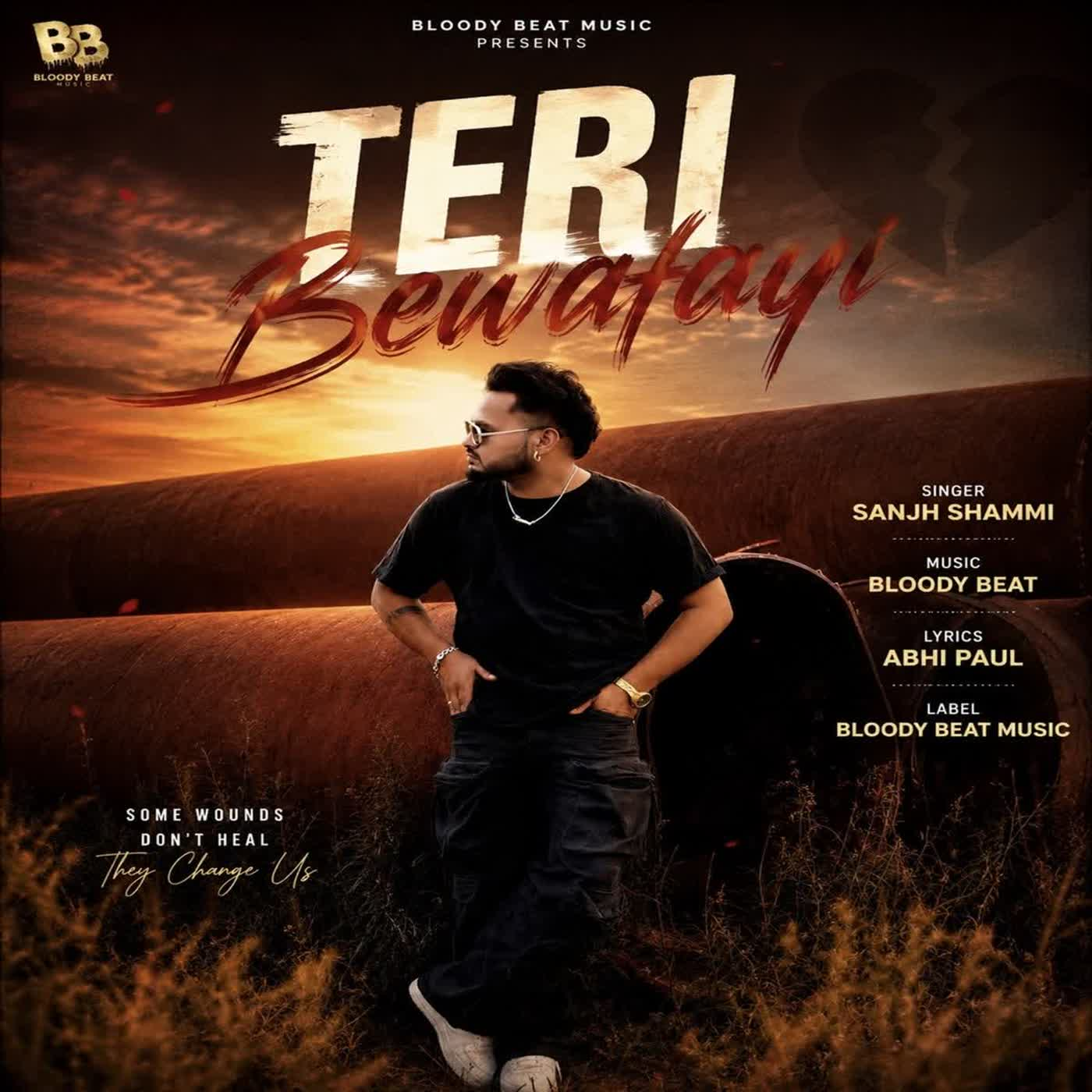 Teri Bewafayi cover