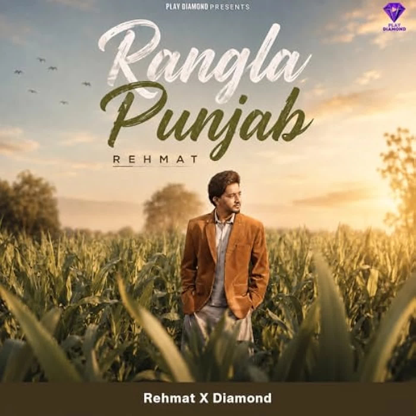 Rangla Punjab cover
