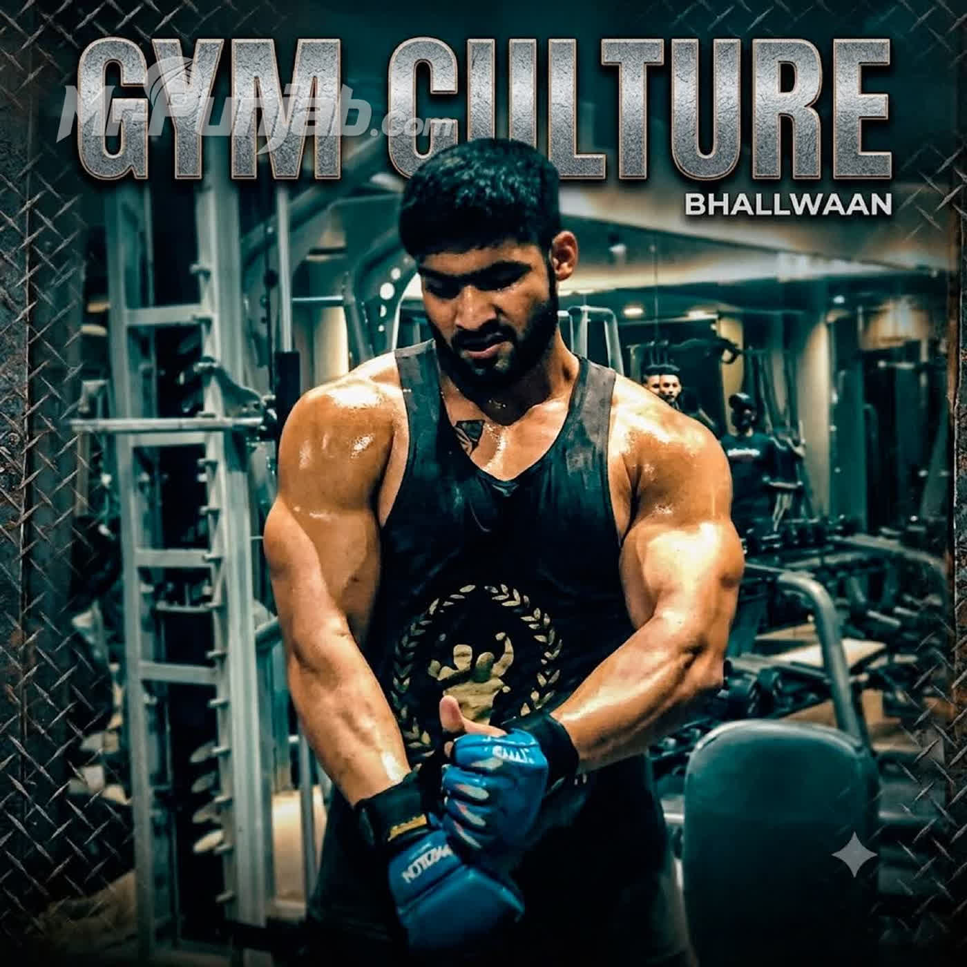 Gym Culture cover