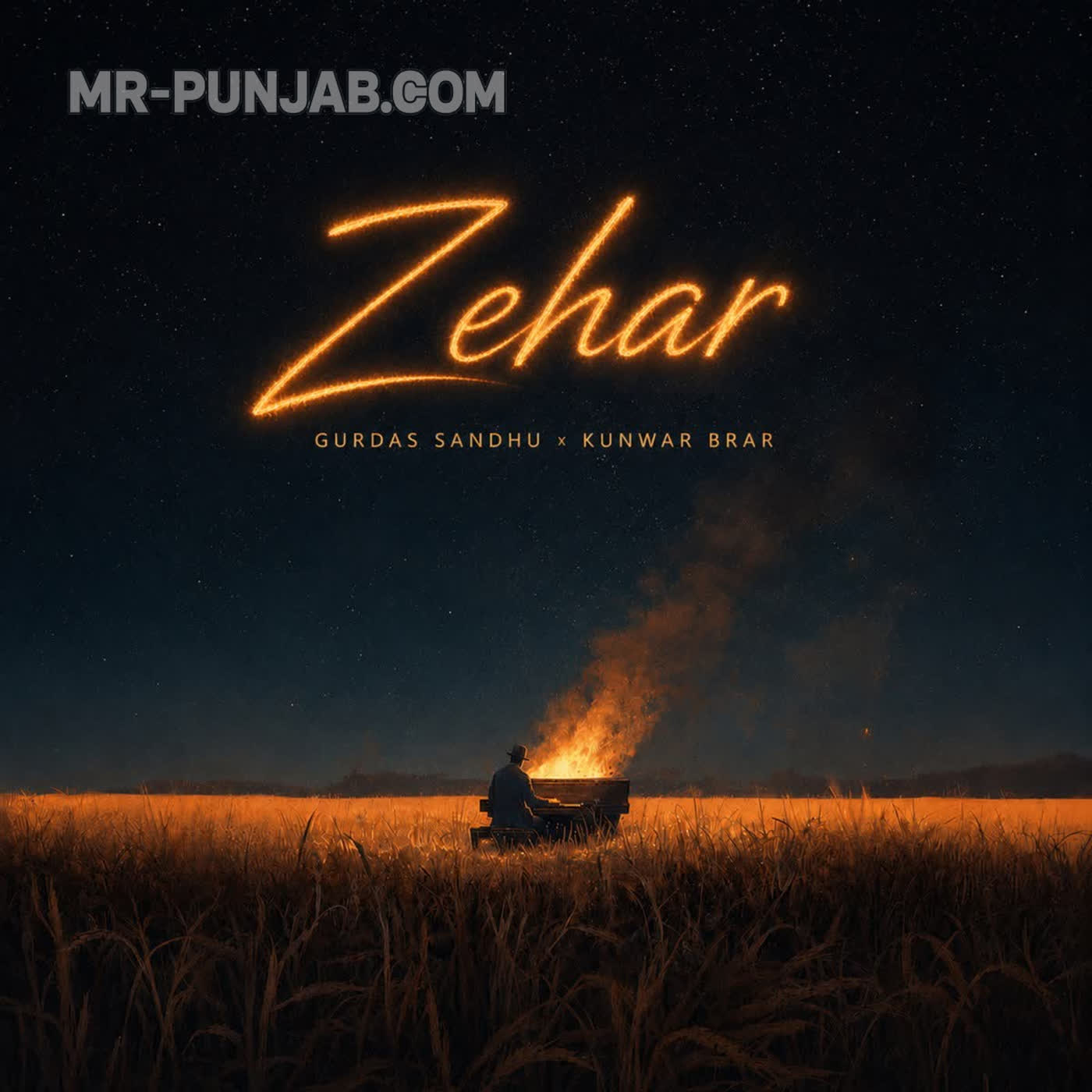 Zehar cover