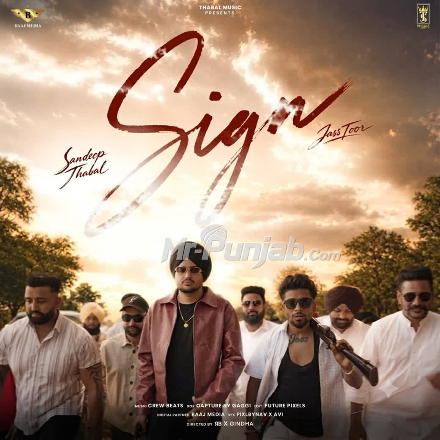 Sign cover