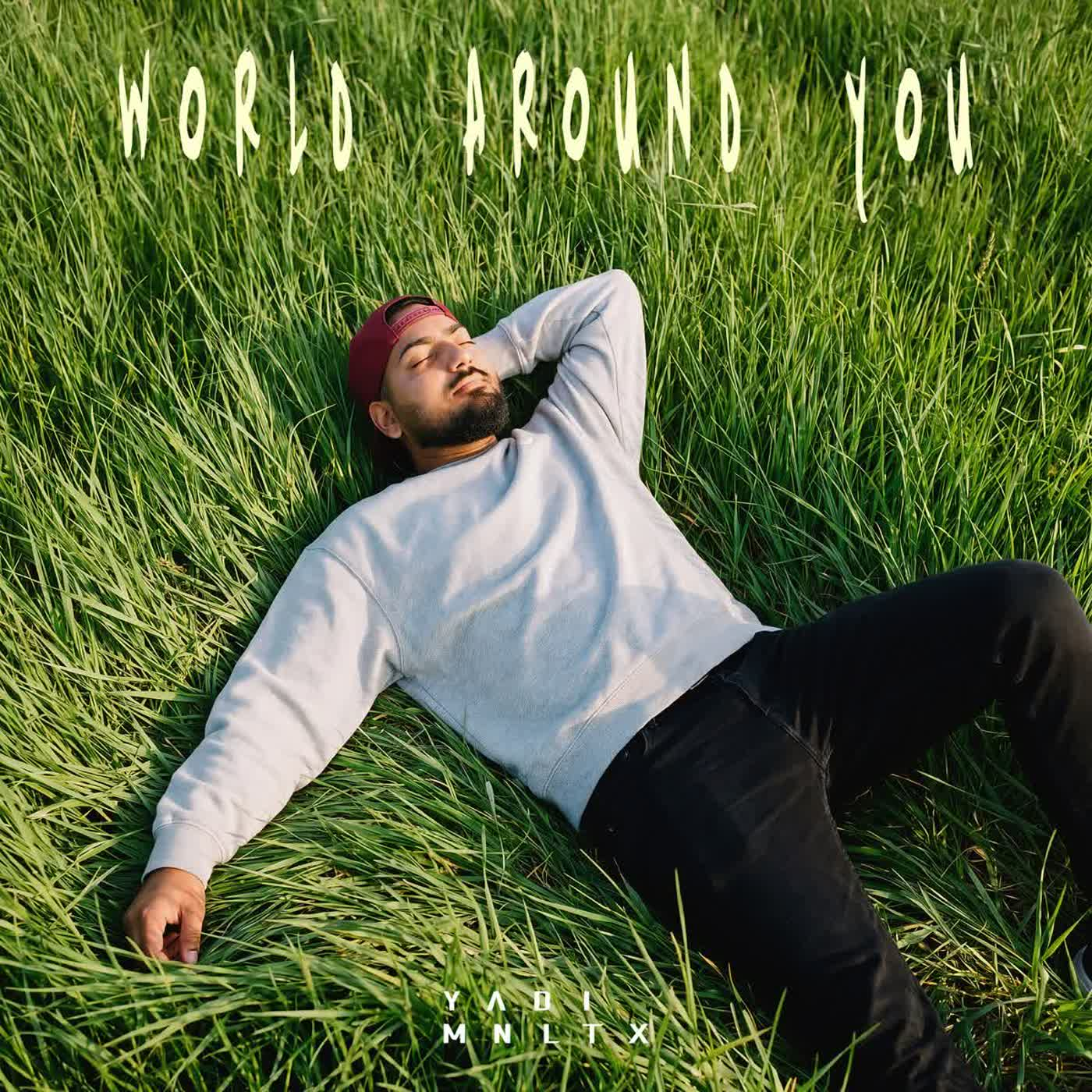 World Around You cover