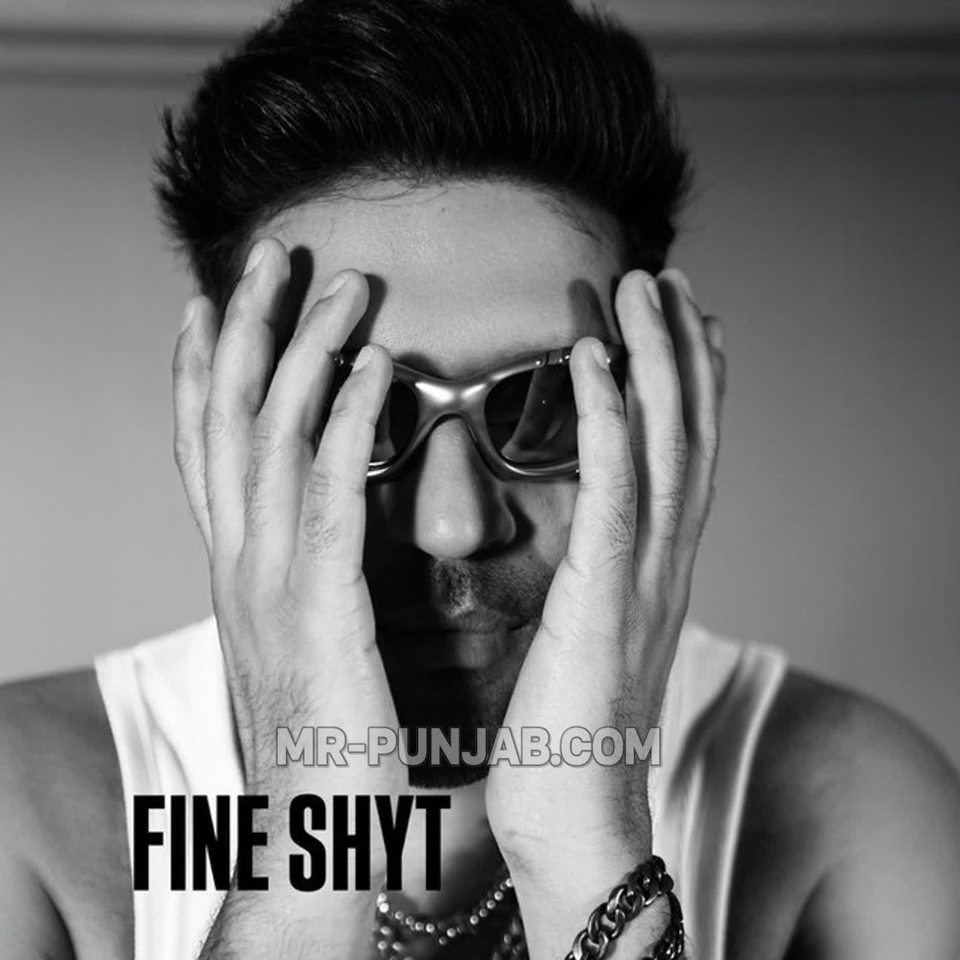 Fine Shyt cover