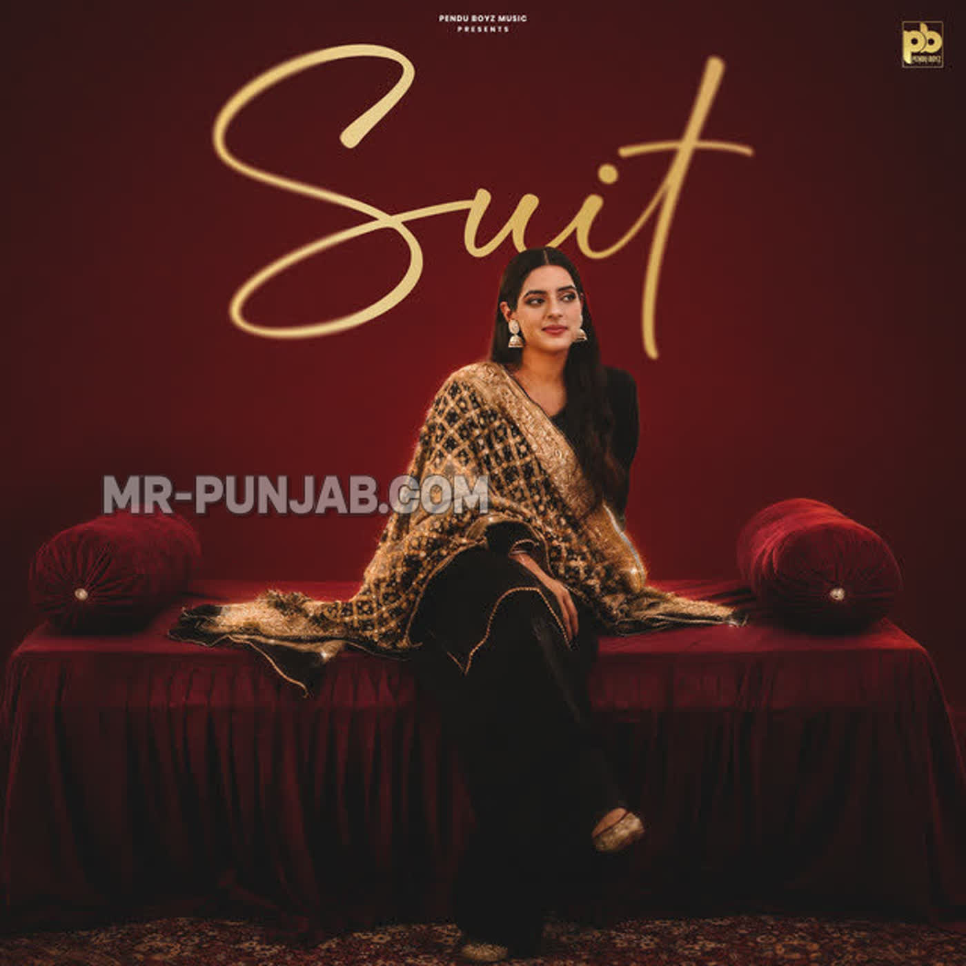 Suit cover