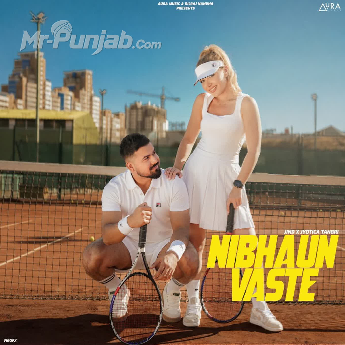 Nibhaun Vaste cover