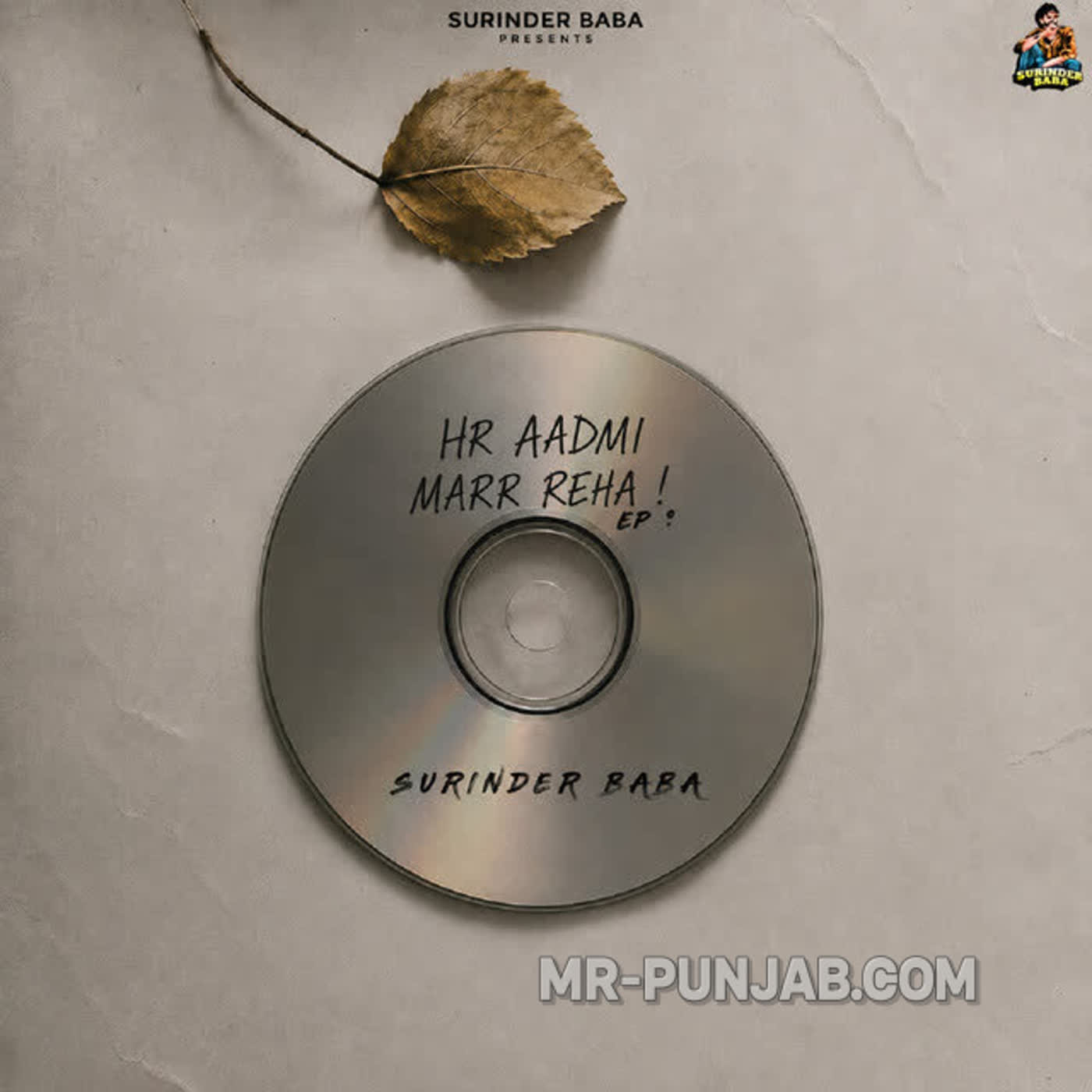 Hr Aadmi Marr Reha cover
