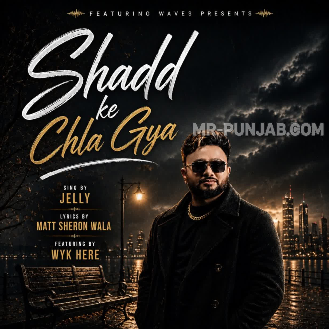 Shadd Ke Chla Gya cover
