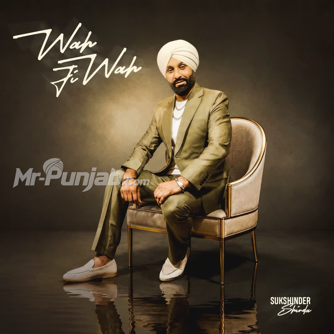 Tere Bina Lagda Na Jee cover