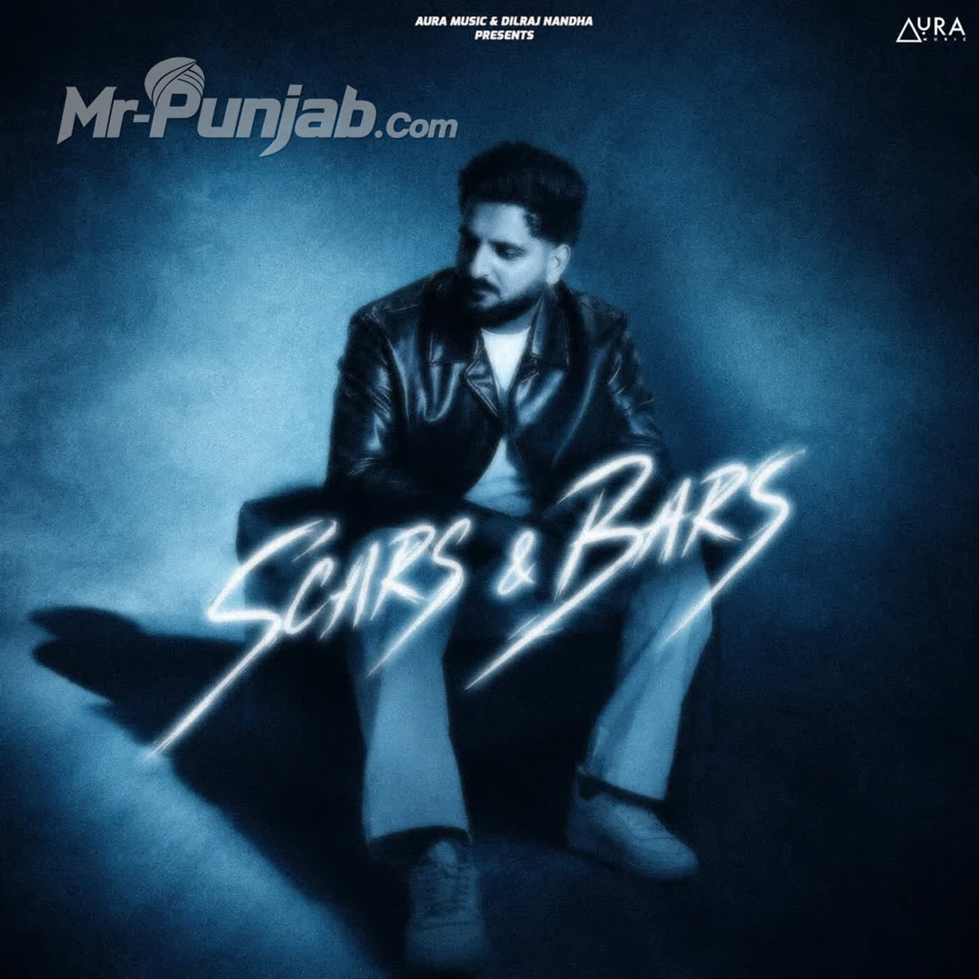 Scars And Bars - EP cover