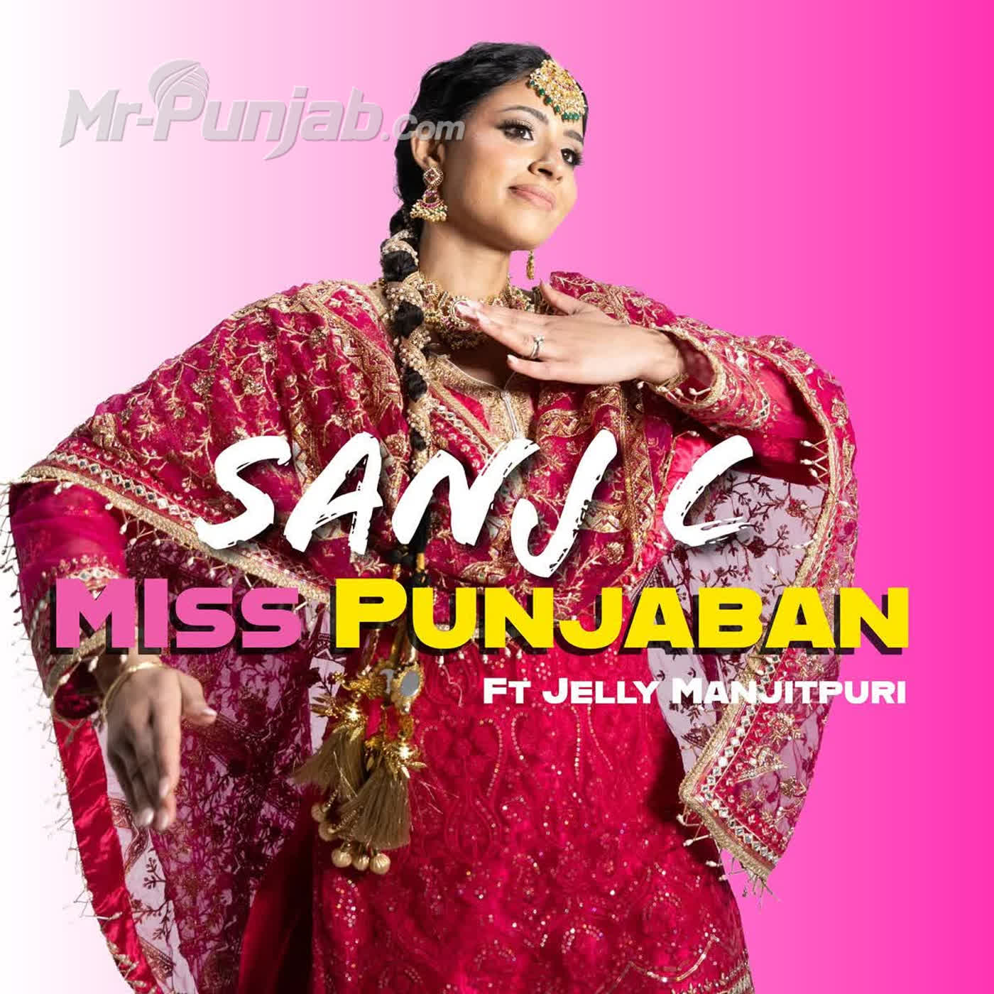 Miss Punjaban cover