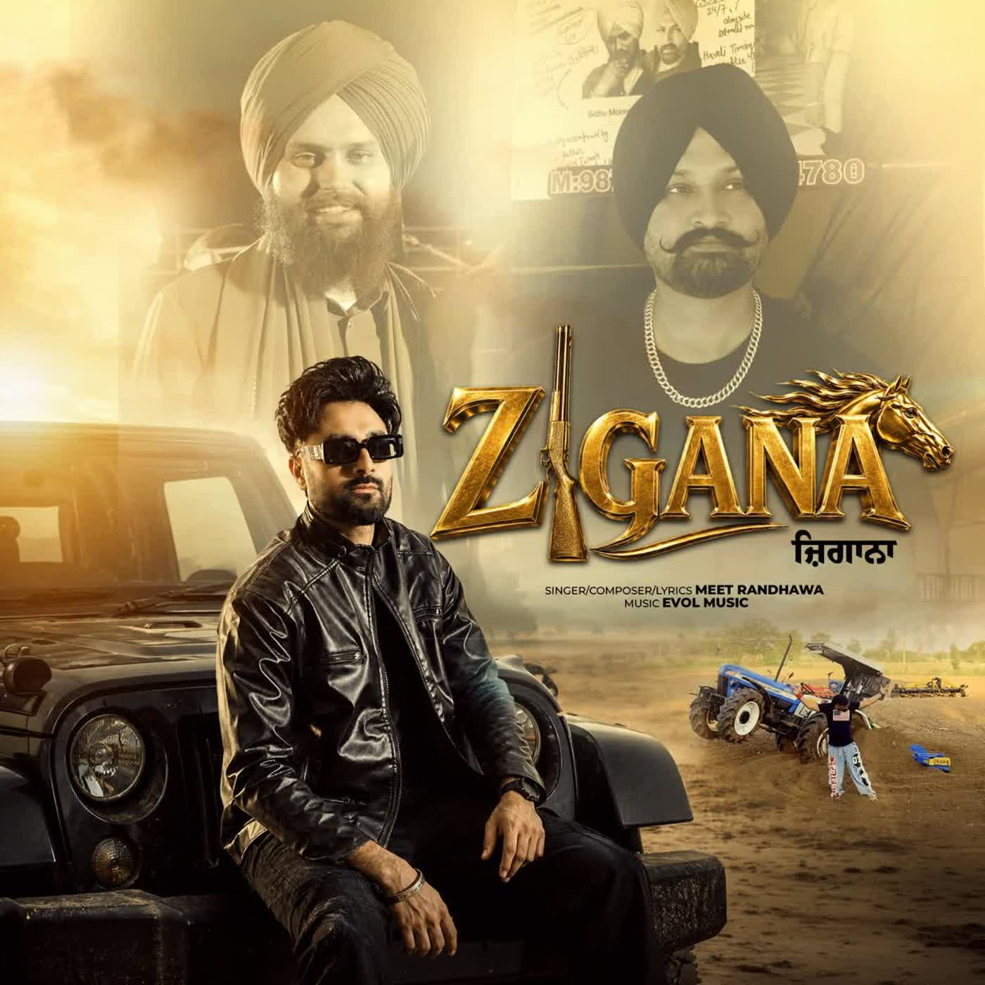 Zigana cover