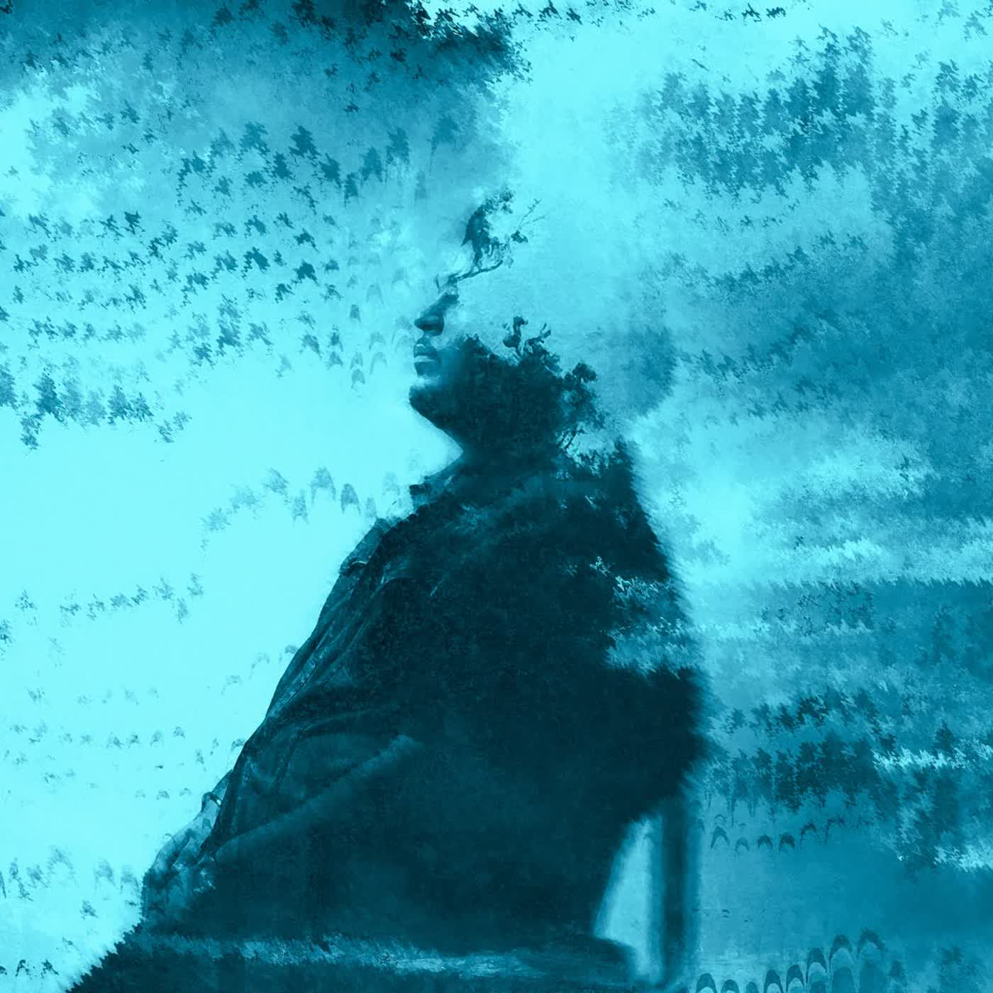 Halle Vi cover
