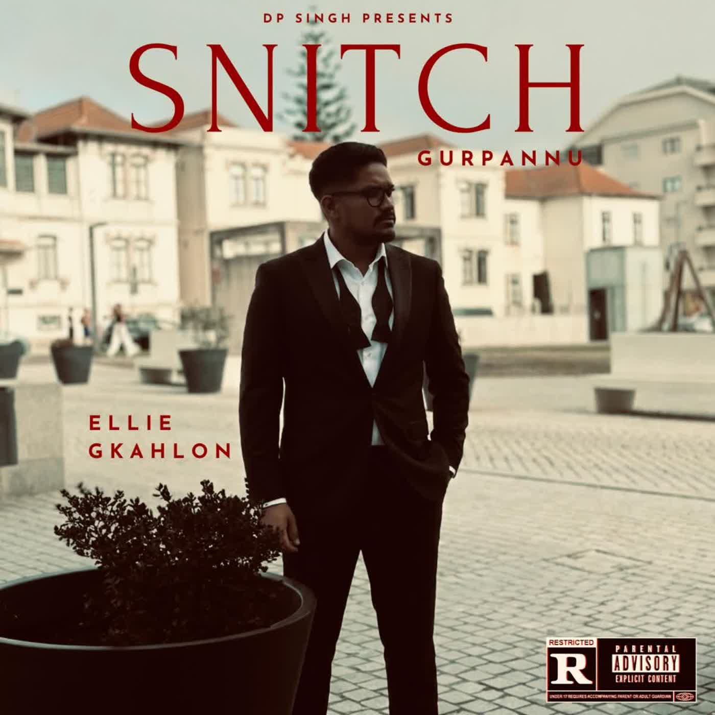 Snitch cover