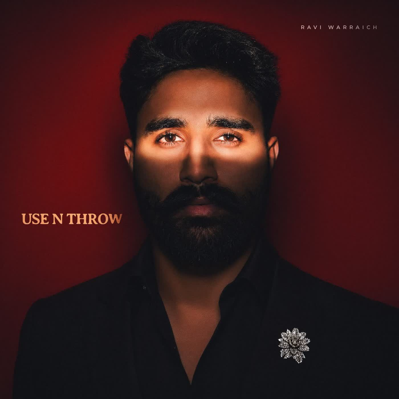 Use n Throw cover
