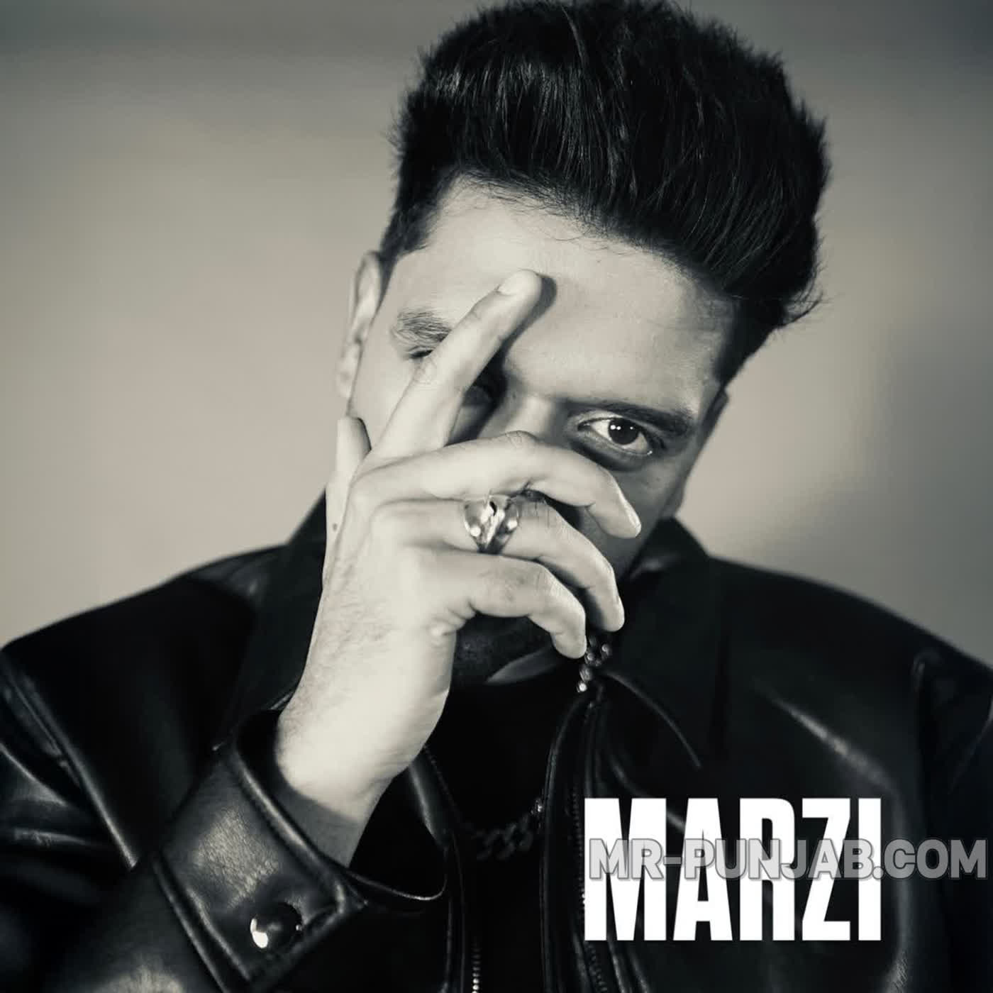 Marzi cover