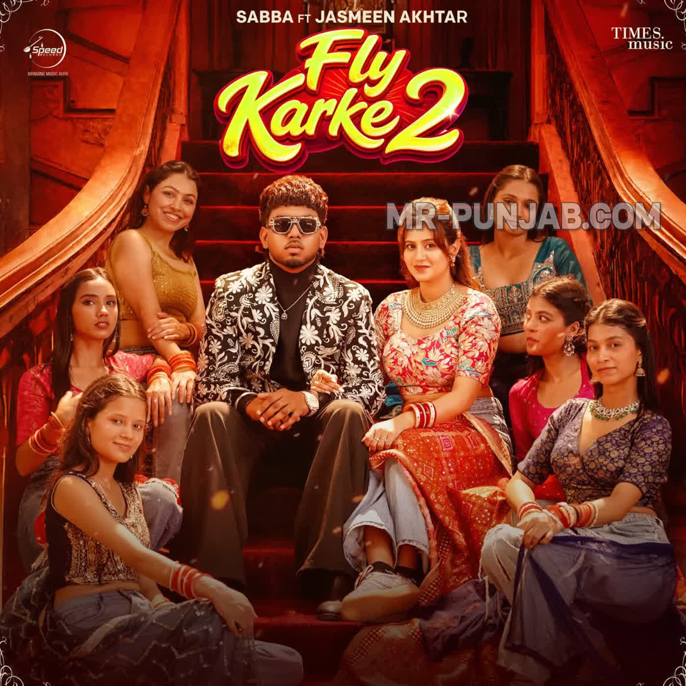 Fly Karke 2 cover
